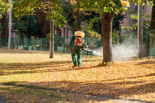 Best Pest Control Near Me in Colonial Beach, VA